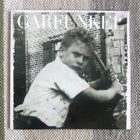 ART GARFUNKEL: Lefty (LP) 1988 - pikkukuva 1
