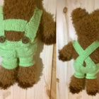 Nalle ja Käärijän vihreät housut - pikkukuva 2