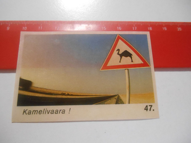 K13 Jenkki Kuvahuuli tarris # 47 Kamelivaara !