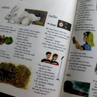 My First Dictionary in Colour Lasten kuvasanakirja - pikkukuva 5