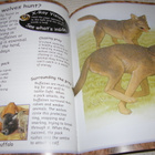 Clarke - Hersey Scary Creatures Wolves - pikkukuva 2