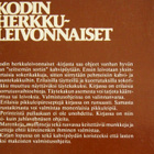 KODIN HERKKULEIVONNAISET 500 valittua leivontaohjetta - pikkukuva 2