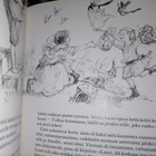 Z. Topelius - Vattumato - Kuvitus Maija Karma - pikkukuva 4