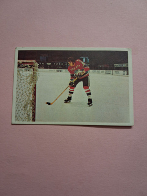 Panda. Jääkiekkokoulu. 21.