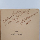 Ruth Hannula : 1918 i snö och sol (tekijän omiste) - pikkukuva 3