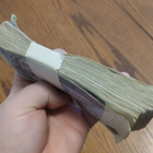 2 krooni setelit 100 kpl - pikkukuva 2