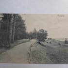 Terijoki np 1909 sisältö venäjäksi - pikkukuva 1