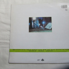 The Del Fuegos:Boston,Mass. LP 1985 Garagerock - pikkukuva 2