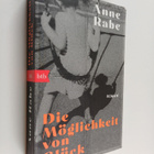 Anne Rabe : Die Möglichkeit von Gluck - pikkukuva 1