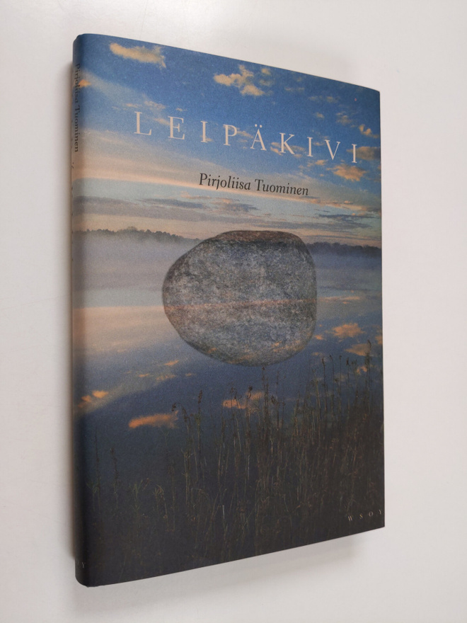 Pirjoliisa Tuominen : Leipäkivi : novelleja