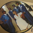 The Platters Greatest hits lp kuvalevy Tanska 1981 - pikkukuva 2