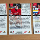 1997-98 Pinnacle: Osgood, Shanahan, Hodson - pikkukuva 2