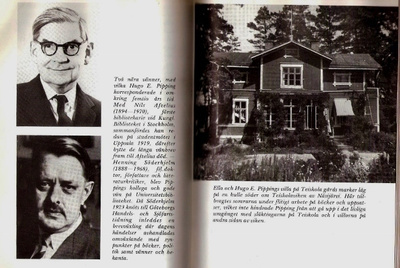 Hugo E. Pipping - Humanist i ekonomernas värld
