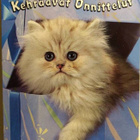 kortti ** Kissa onnittelee - eril. myös lapsille - pikkukuva 4