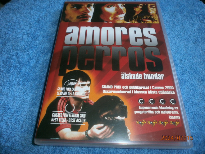 AMORES PERROS    -    DVD