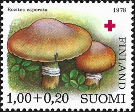 1978 Punainen Risti Kehnäsieni **  LaPe 831