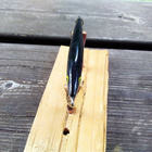 Rapala floating  Ireland 8cm - pikkukuva 3