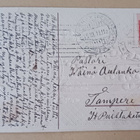 Ikkunakortti, pajunkissoja, urpuja, kohopainoa, p. 1911 - pikkukuva 2