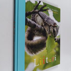 Elina Kynsijärvi : Liituri (signeerattu) - pikkukuva 1