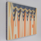 Combs Kämme = Peignes = Kammen = Pettini : an art collect... - pikkukuva 1