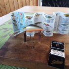 Salmo Hornet Floating SDR 4cm GS - pikkukuva 2