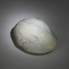 Opalisoitunut simpukankuori kokonainen 35.8 mm / 92.96 ct - pikkukuva 1