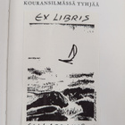 Väinö Arvid Lesonen : Kouransilmässä tyhjää - pikkukuva 3