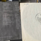 Tom Verlaine (Television): Cover & Dreamtime - pikkukuva 5