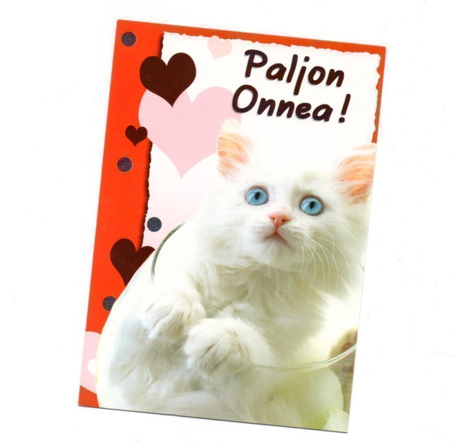 Kissa... °°PALJON ONNEA!°° -KORTTI / (Papron)