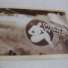 Wicked Woman kulkenut - pikkukuva 1