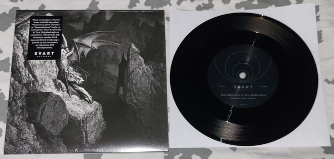Timo Rautiainen ja TNL - Viimeinen päivä taivaan? 7" single