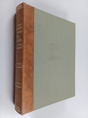 Aimo Halila : Iitin historia 2 : Kunnallishallinnon synny...