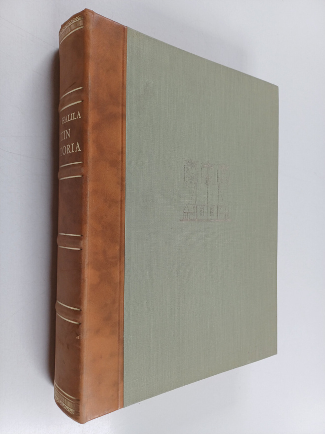 Aimo Halila : Iitin historia 2 : Kunnallishallinnon synny...