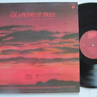 The Nights Of Iguana Grapefruit Tree LP PÄLP 82 - pikkukuva 2