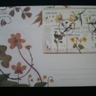FDC Kevät kukkii 5.3.2012 - LaPe BL74 - pikkukuva 1