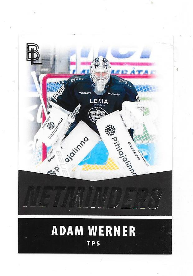 2024-25 BlueLine NetMinders #15 Adam Werner TPS MV