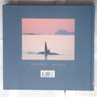 John Stenersen - Norwegian Killer Whales (hardcover) - pikkukuva 2