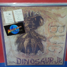 Dinosaur Jr. – Bug M-/EX+ LP - pikkukuva 1