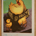 kana ja pikkutiput, kulkenut 1952 - pikkukuva 1