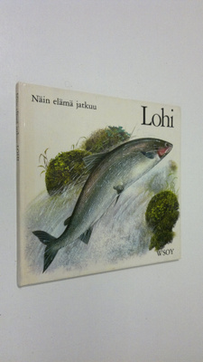 Pauline Baynes : Lohi