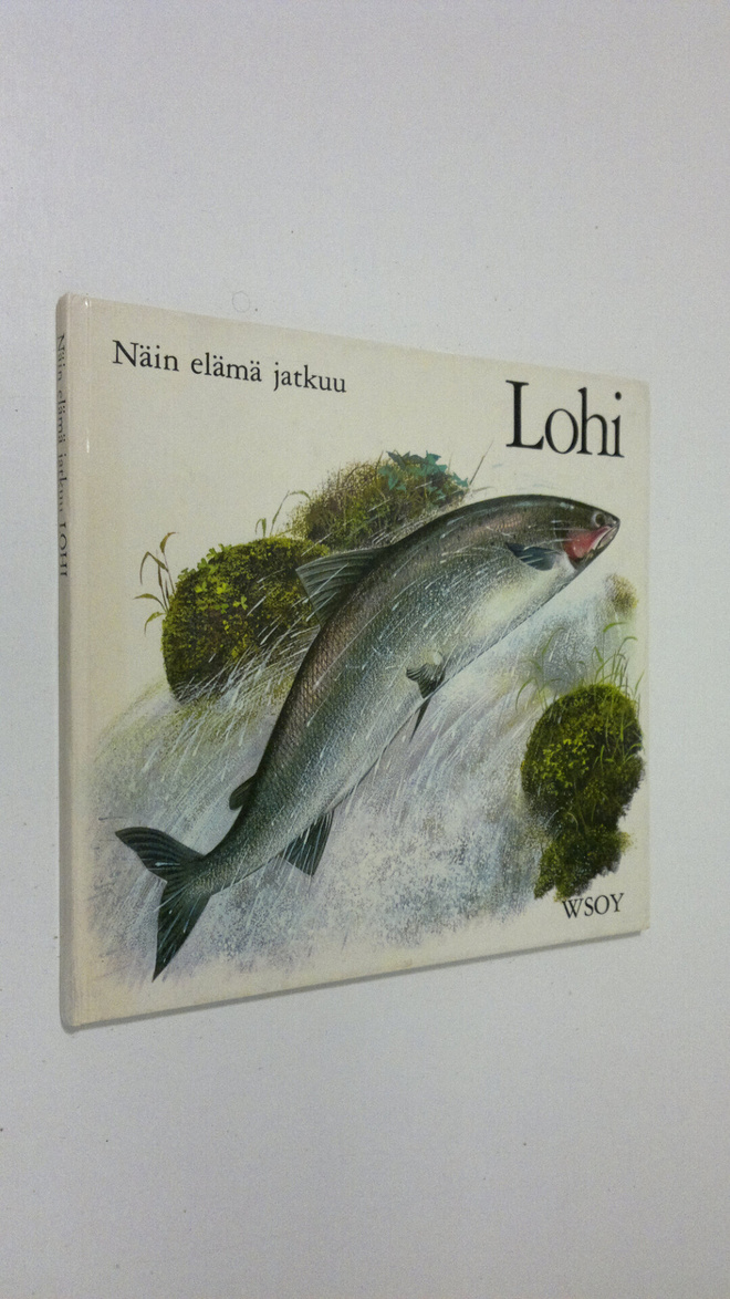 Pauline Baynes : Lohi