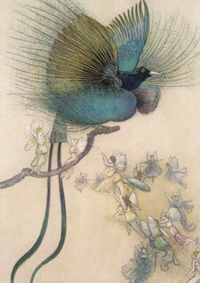 Warwick Goble: Vesilapset
