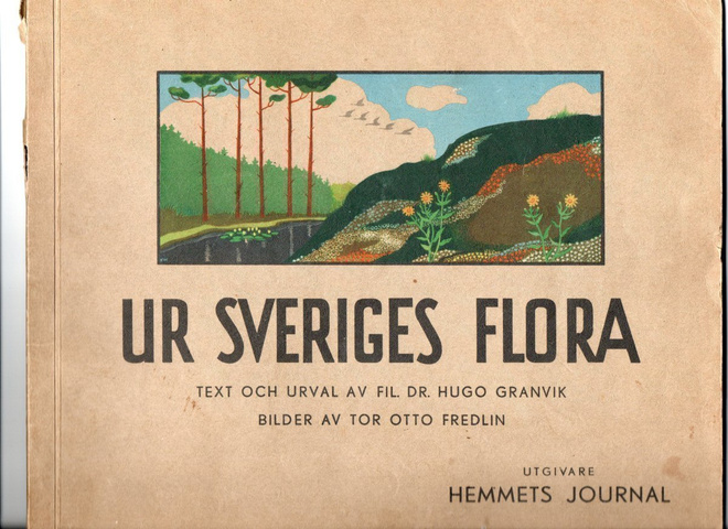 Ikivanha  UR SVERIGES FLORA. Ruotsin kasvistoa.
