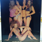 Spice Girls Juliste-Taulu - pikkukuva 1