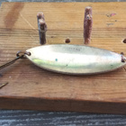 Delfin Torpedo Norway 23g - pikkukuva 2