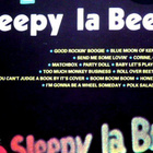 SLEEPY LaBEEF; Beefy rockabilly - pikkukuva 5
