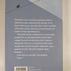 Reidar Palmgren : Tunneli - pikkukuva 2