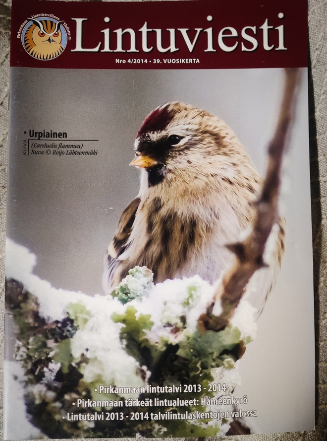 LINTUVIESTI 4/2014 Pily yhdistyslehti