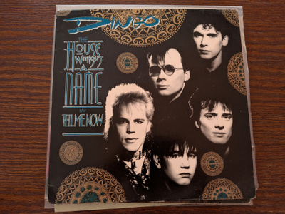 Dingo - The House Without a Name 12" single (RARE)