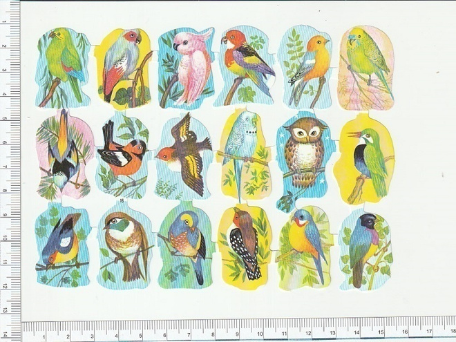 *  upeavärisiä lintuja, pikku-arkki, 15x11cm *